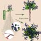 Arts 6 Pack Artificial Black Berry Stems Fake Holly Berries Halloween Picks for Xmas Tree Ornaments DIY Wreath Vase Holiday Home Decor